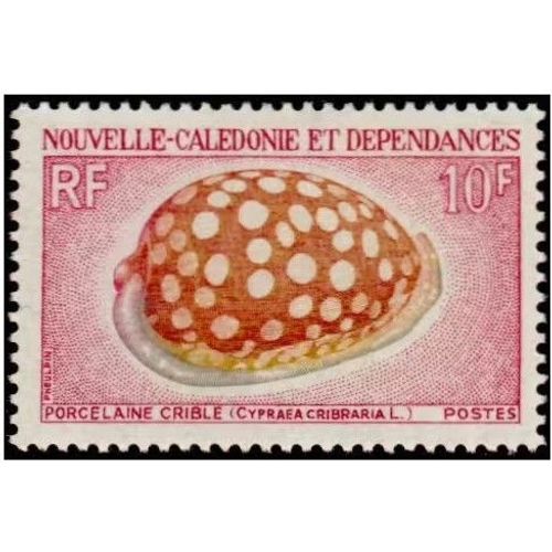 Nouvelle Calédonie, Territoire D'outre Mer 1970, Beau Timbre Yvert 370, Série Coquillages, Porcelaine Crible, Neuf* - Sans Gomme -