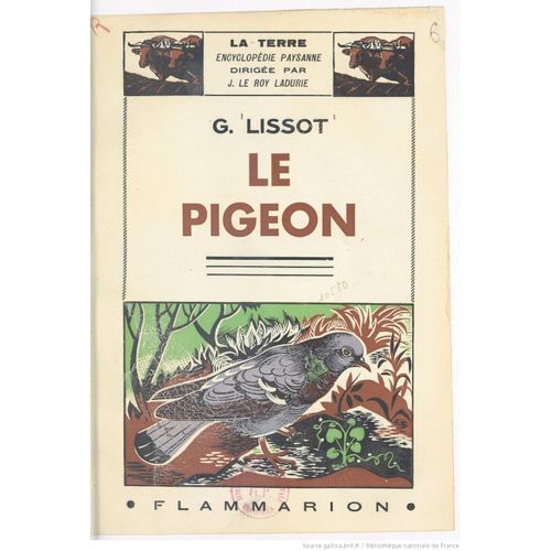 Le Pigeon De G.Lissot