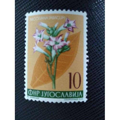 Timbre Yougoslavie Yt 668 Tabac (Nicotiana Tapacum) 1955 ( 180406 )