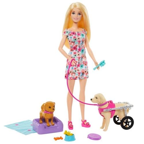 Barbie Doll And Accessories