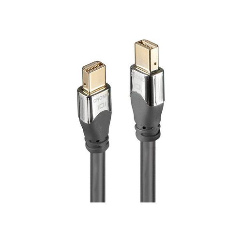 Lindy CROMO - Câble DisplayPort - Mini DisplayPort (M) pour Mini DisplayPort (M) - DisplayPort 1.4 - 50 cm - rond, support 4K - gris