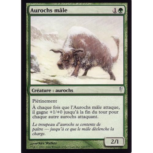 Aurochs Mâle - Magic - Souffle Glaciaire - C - 107/155
