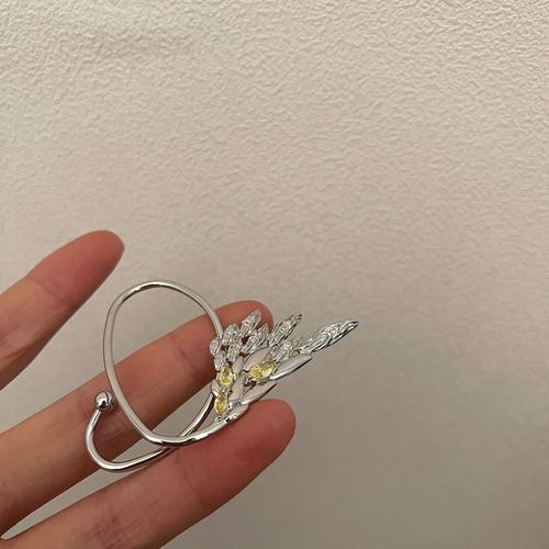 Boucle D'oreille Européenne Et Américaine En Zircon, Couleur Argent, Clip En Os Pour Femmes, Personnalité Cool, En Métal, Sans Piercing, Bijoux, 1 Pièce