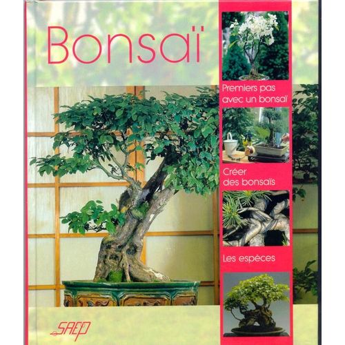 Bonsaï