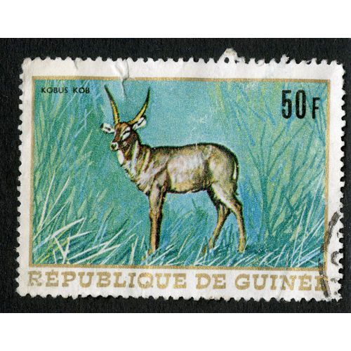 Timbre Oblitéré République De Guinée,Kobus Kob,50f