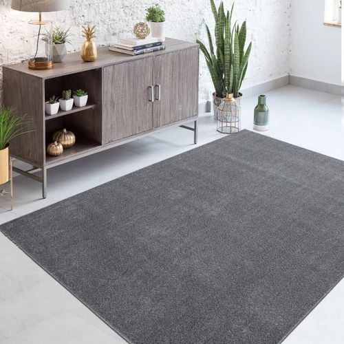 Tapis Salon 200x290 Tissé Gris Clair Rectangle Motif Uni Soula