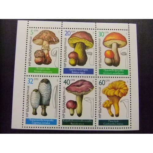 10 Bulgaria Bulgarie 1987 / Flore Champignons / Yvert 3071 / 3076 Feuille Mnh
