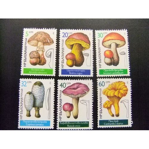 10 Bulgaria Bulgarie 1987 / Flore Champignons / Yvert 3071 / 3076 Mnh