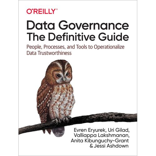 Data Governance: The Definitive Guide