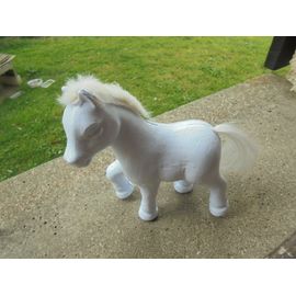 Poney