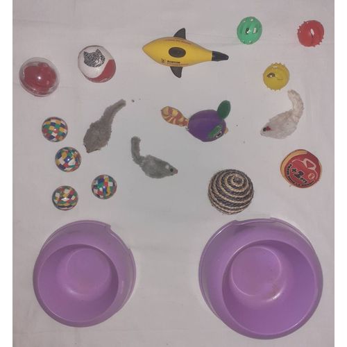 Gamelle Et Divers Jouets Pour Chat(S).