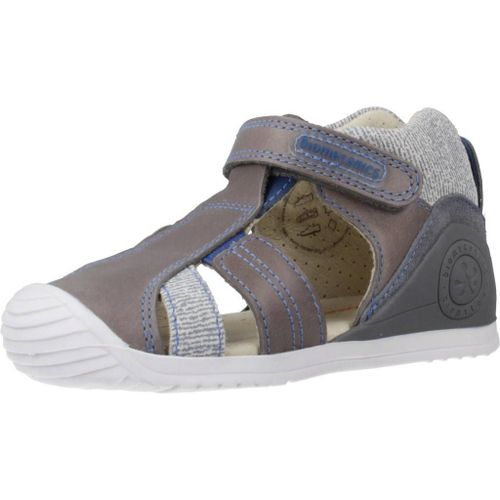 Biomecanics 202146 Colour Gris