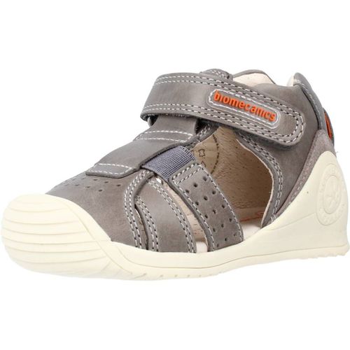 Biomecanics 212134 Colour Gris