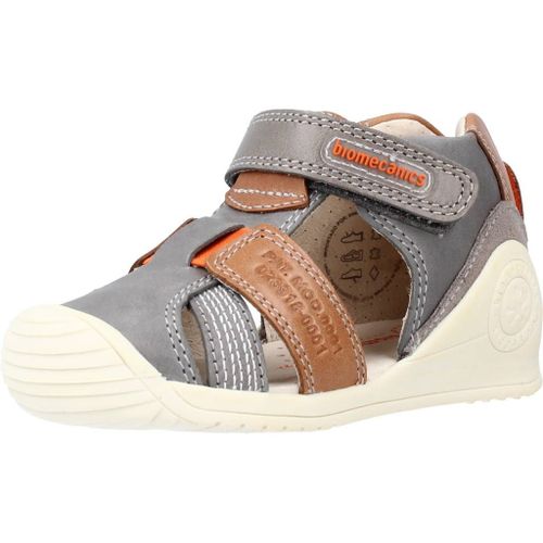 Biomecanics 212135 Colour Gris