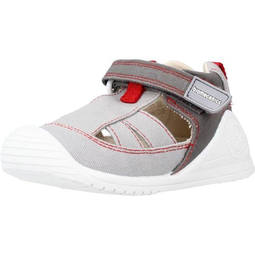 Biomecanics 212222 Colour Gris