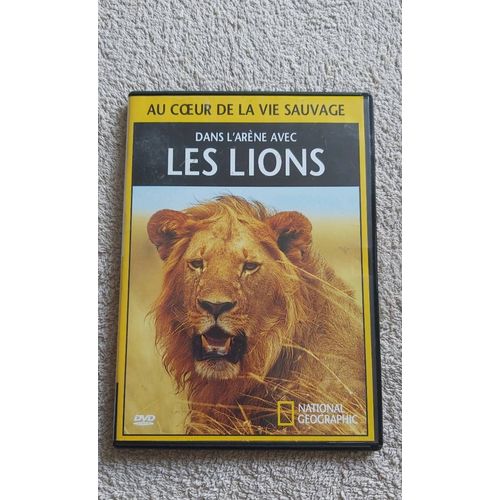 Au Coeur De La Vie Sauvage Les Lions