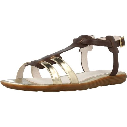 Stonefly Alisya 1 Colour Marron