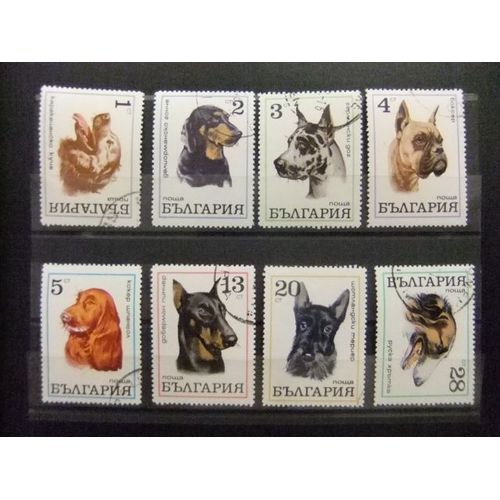 10 Bulgarie Bulgarie 1970 / Faune Mammifères Races De Chiens / Yvert 1799 / 1806 Fu