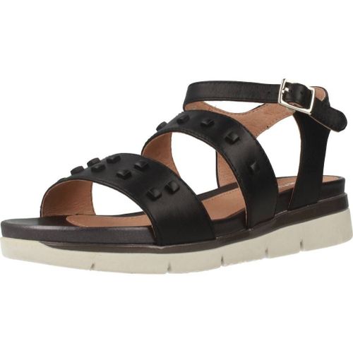 Stonefly Elody 1 Colour Noir