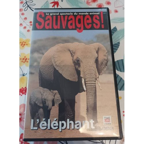 Le Grand Spectacle Du Monde Animal Sauvage - L'éléphant