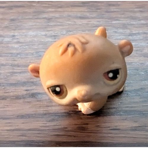 Petshop Hamster #34
