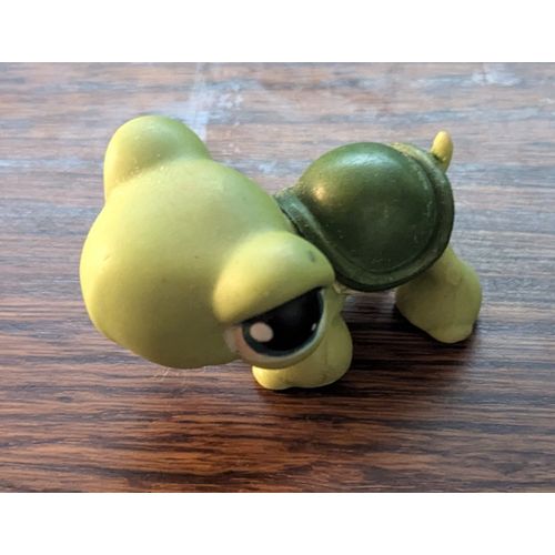 Petshop Tortue #187