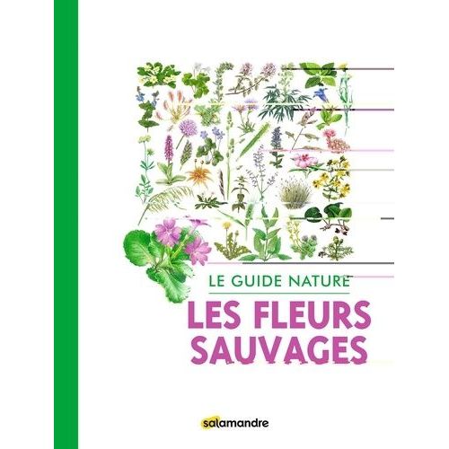 Les Fleurs Sauvages