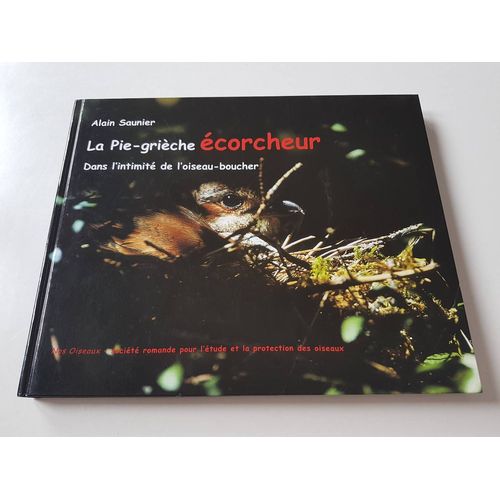 La Pie-Grièche Écorcheur Dans L'intimité De L'oiseau-Boucher