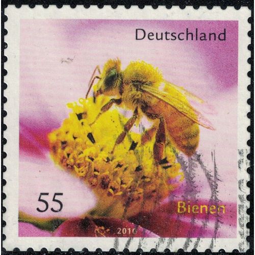 Allemagne 2010 Oblitéré Used Insecte Apis Mellifica Abeille Bienen Y&t De 2623 Su