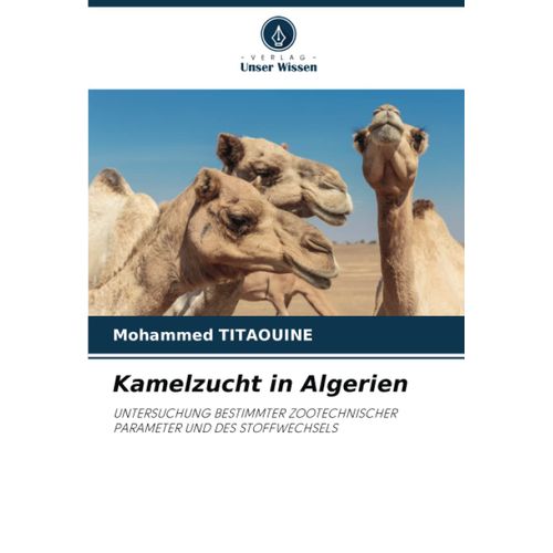 Kamelzucht In Algerien