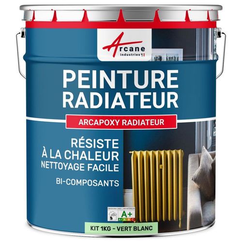 Peinture Radiateur - Fonte acier alu chauffage toutes couleurs PEINTURE RADIATEUR Ral 6019 Vert Blanc Kit 1 Kg jusqu'a 5m² pour 2 couches