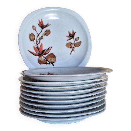 Assiettes En Porcelaine De Sologne Bois