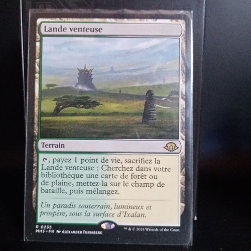 Lande Venteuse Horizons Du Modern 3 Carte Magic