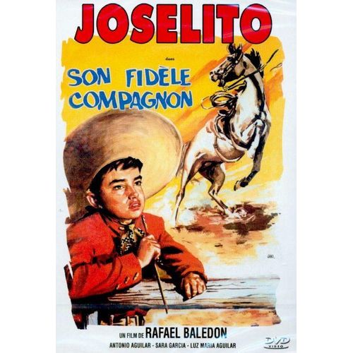 Son Fidèle Compagnon