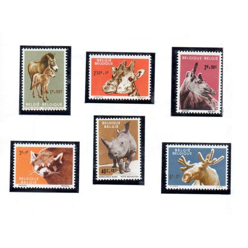 Belgique Timbres Animaux Du Zoo D' Anvers 1961