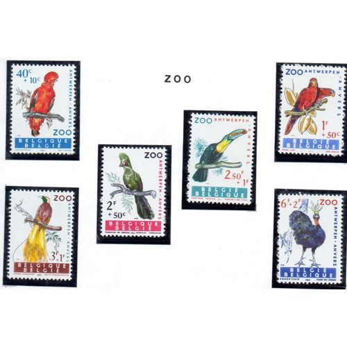 Belgique Timbres Animaux Du Zoo D' Anvers 1962