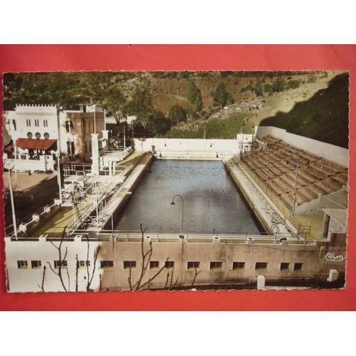 Carte Postale D'algérie
