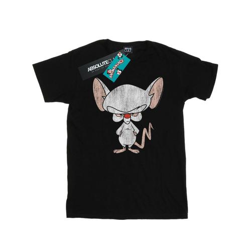 Animaniacs - T-Shirt The Brain Classic Pose - Homme