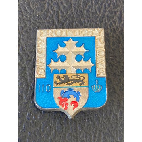 Insigne Prestige 110 Ri / 110eme Régiment Infanterie / Qui S’Y Frotte S’Y Pique