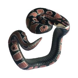 TOYANDONA Faux Blanc Serpent Jouet Faux Serpent Jouets Prank Prop Effrayer Cosplay Accessoires Délicat Jouets Parti Soutiens Articles De Fête pour Halloween 