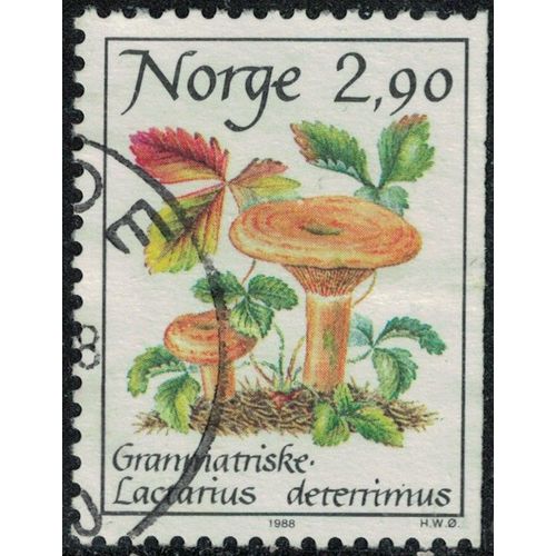 Norvège 1988 Oblitéré Used Champignon Lactarius Deterrimus Lactaire Des Épinettes Y&t No 947 Su