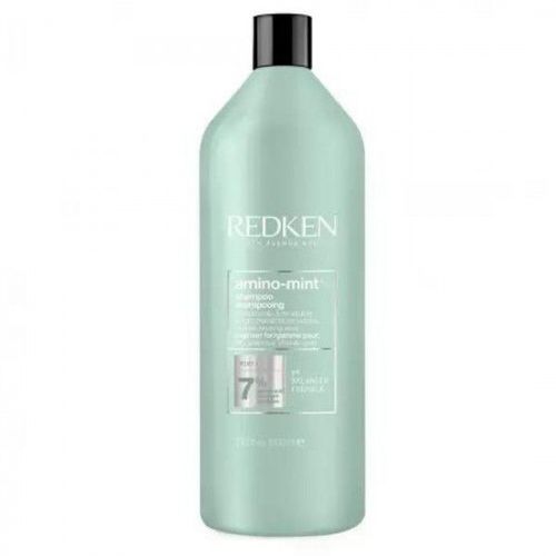 Shampooing Cheveux Gras & Pointes Sèches Amino Mint Redken 1l 