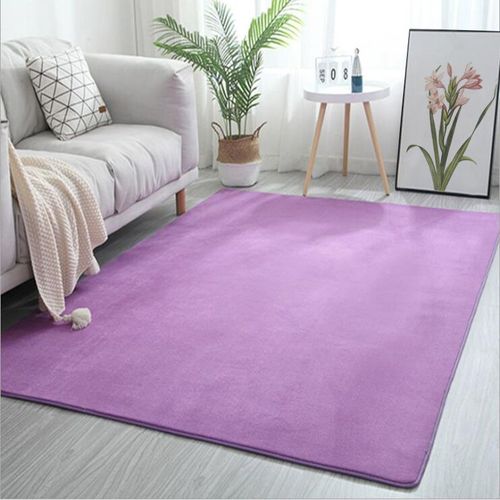 Tapis De Salon En Polaire Insonorisé Non Ald,Tapis De Maison,Canapé,Table Basse,Chambre D'enfant,Balcon Gris,Polymères De Baie Vitrée - Type Purple-60x120cm(23.6x47in)