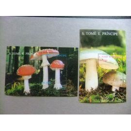 52 S.Tomé E Principe 1995 / Champignons Flore / Yvert Bloc 163w + 163x ** Mnh