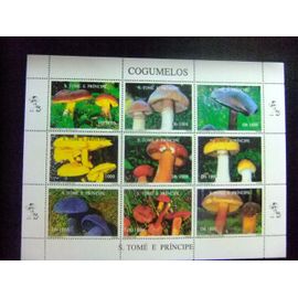 52 S.Tomé E Principe 1995 / Champignons Flore /Yvert 1264 Bx / 1264 Cf ** Mnh