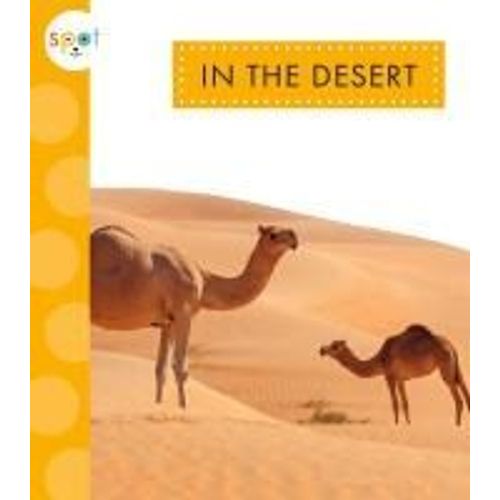 In The Desert