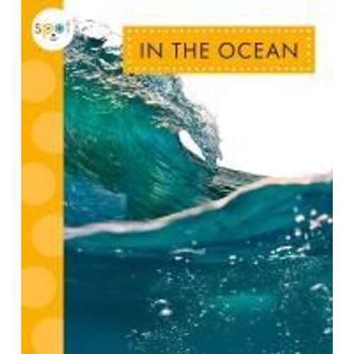 In The Ocean