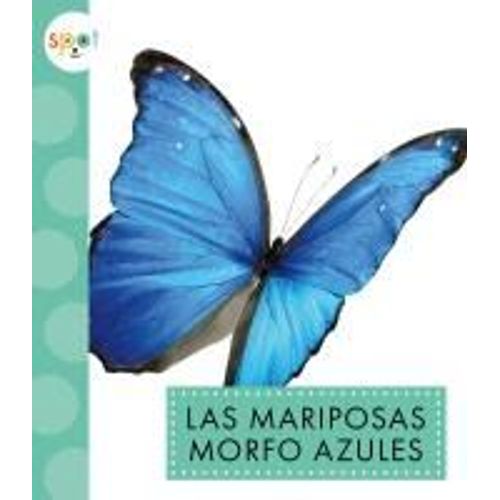 Las Mariposas Morfo Azules