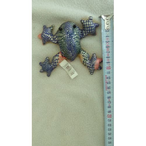 Grenouille Multicolore