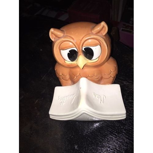 Porte Lunette Chouette